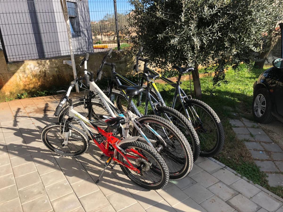 Apartment Madis & Free Bikes Пула Экстерьер фото